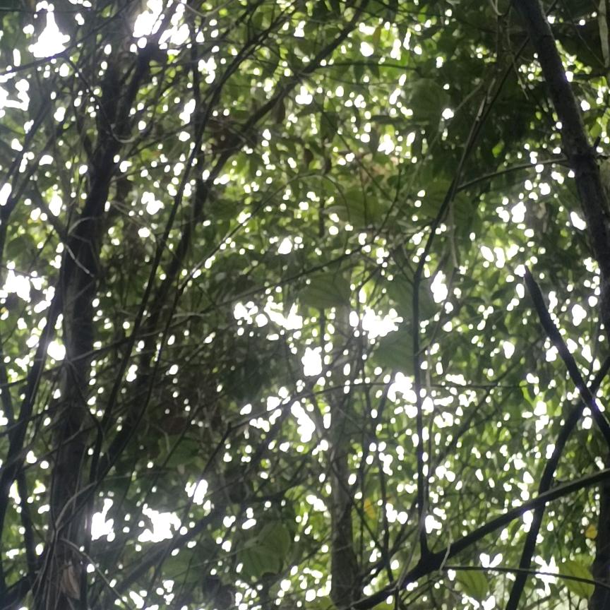 潇洒小哥哥