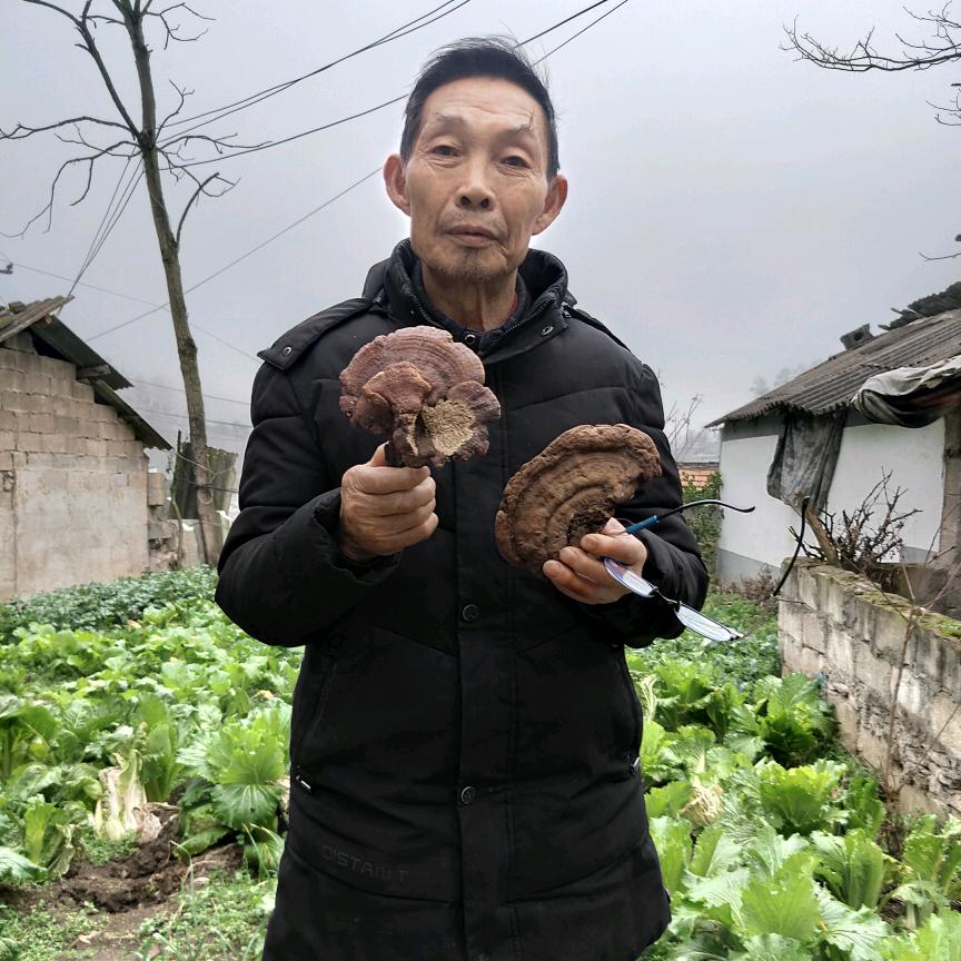 刘开华分享草草