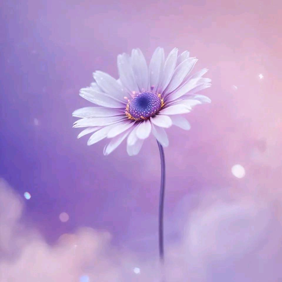 晓晓.