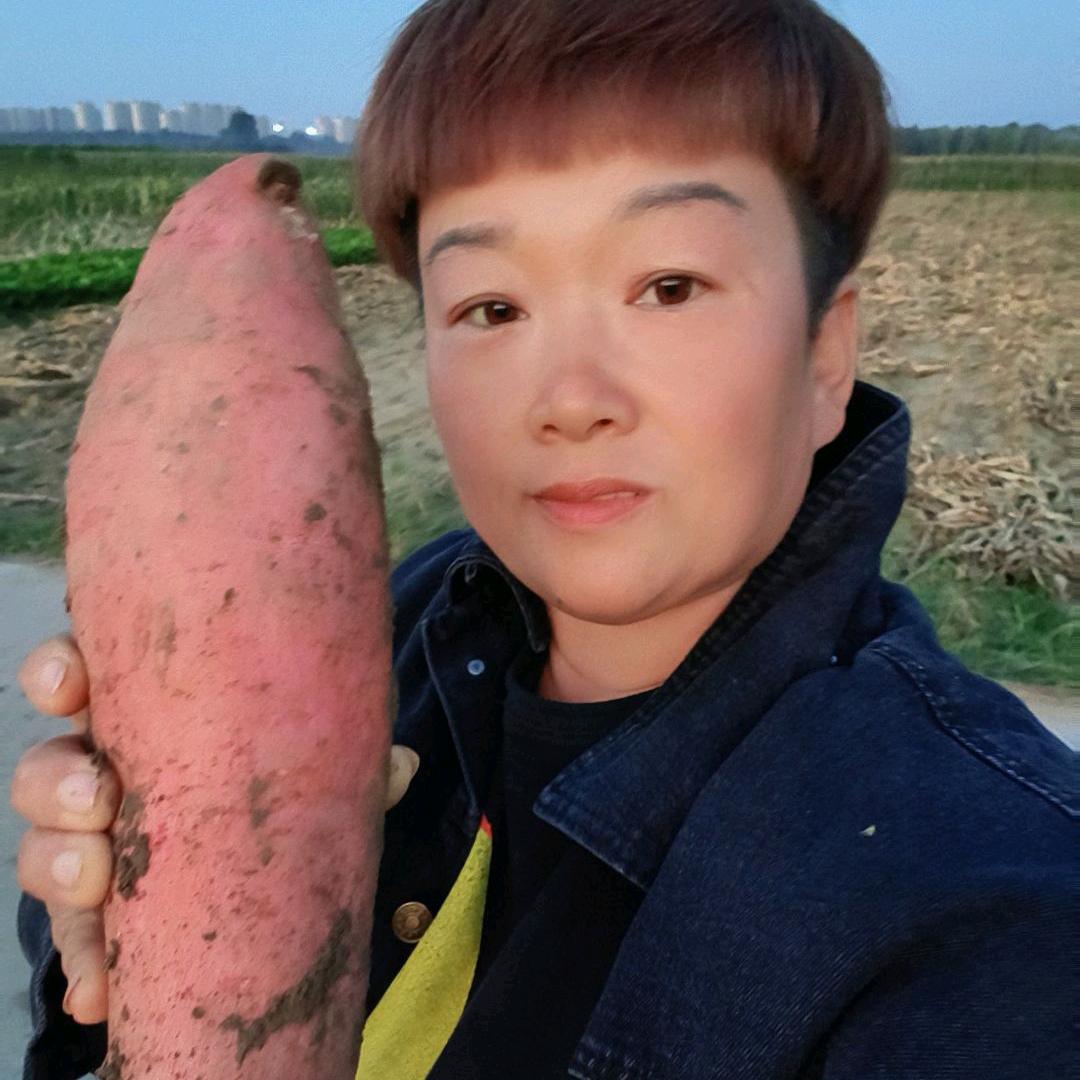 涿州红薯姐