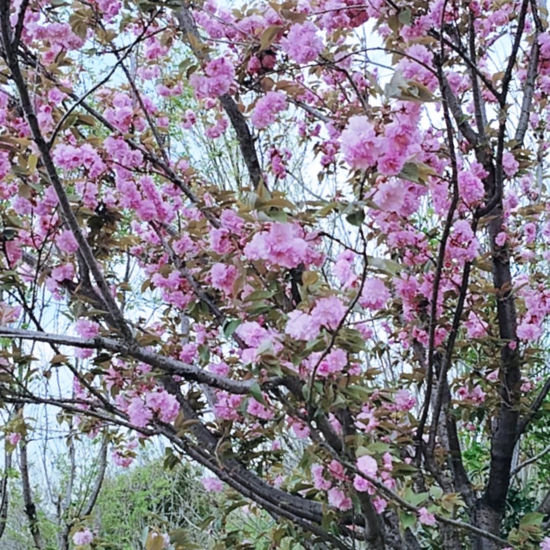 一无所有从新开始