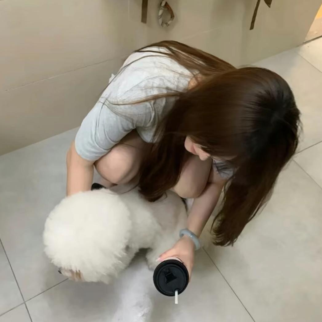 小黄鸭