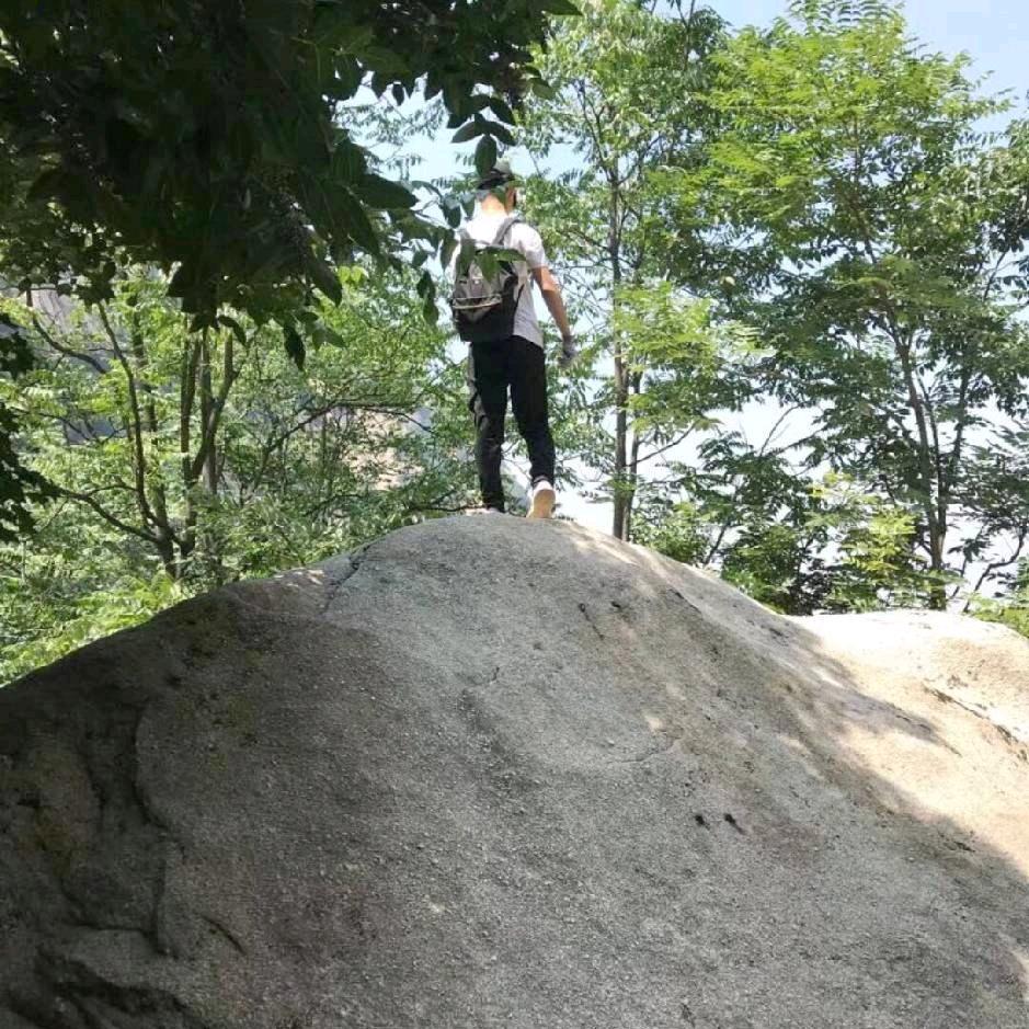 帥不离岳