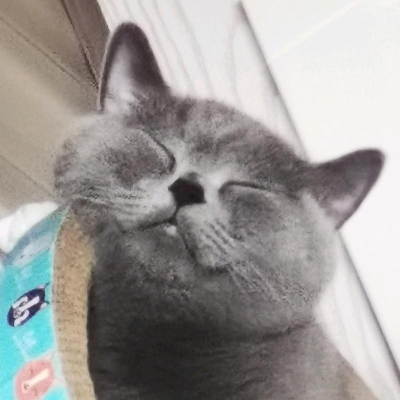 王可乐爱吃胖萝卜