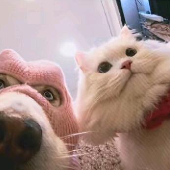 小美事事顺利万事皆宜