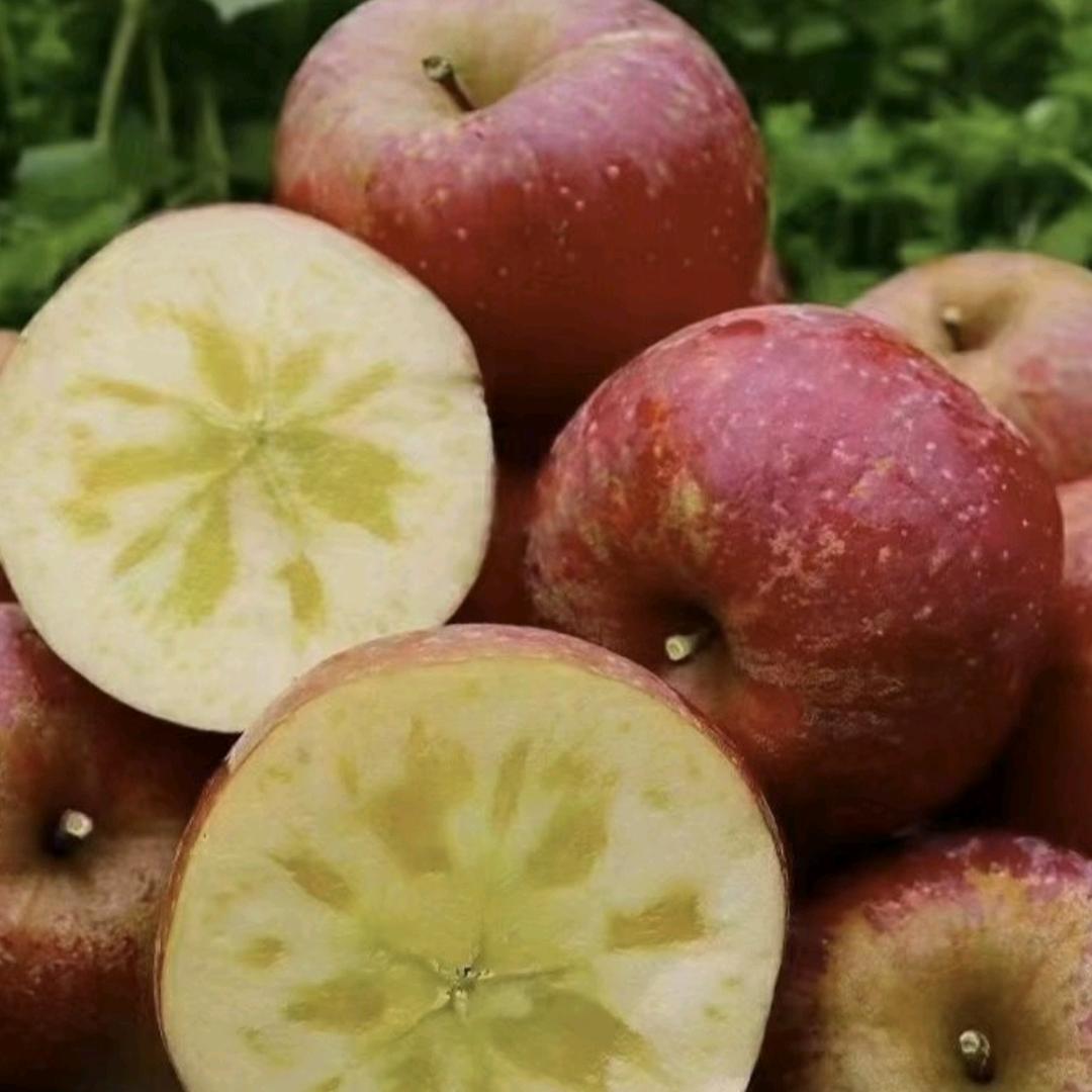 @哦豁🍎