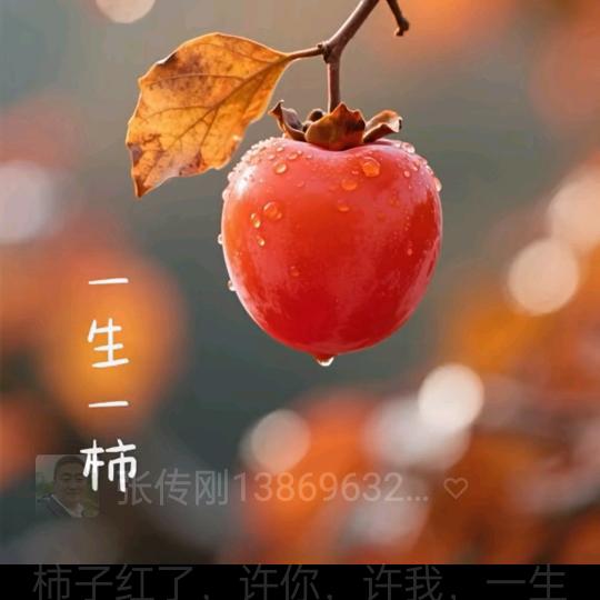 69年的四哥