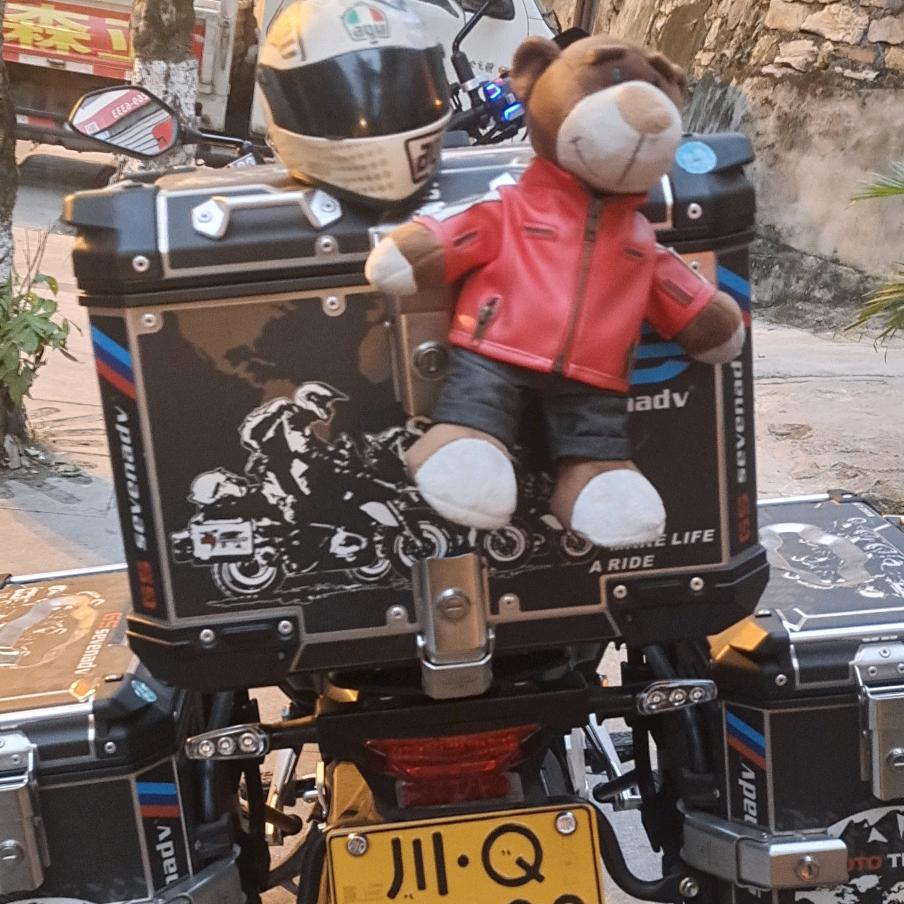 飞燕柳杨