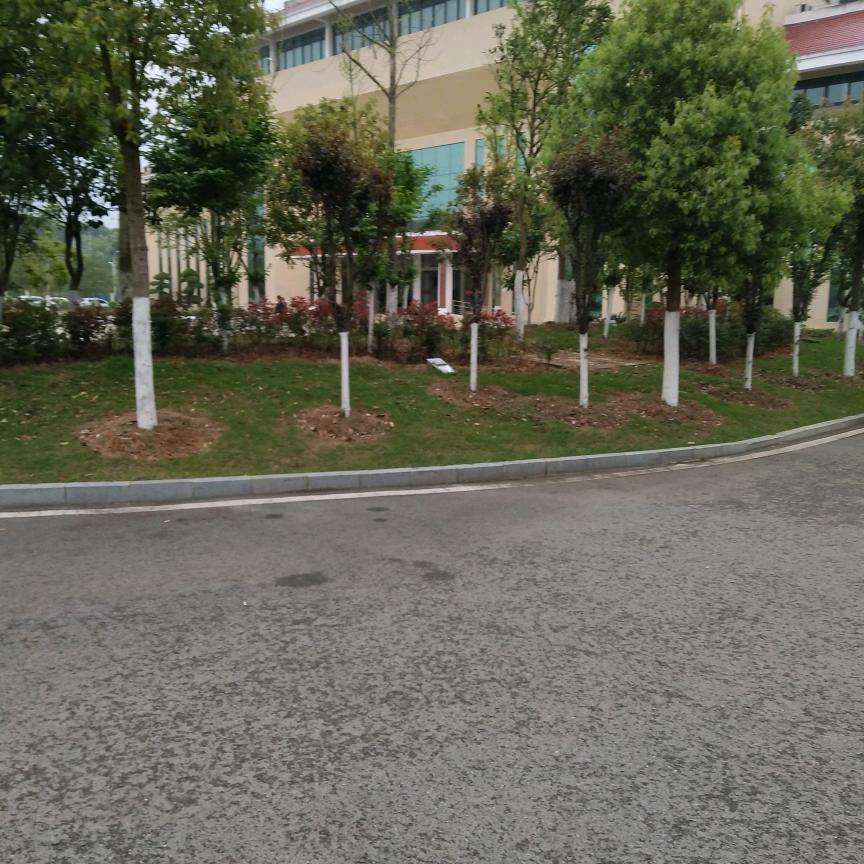 抖音大叔