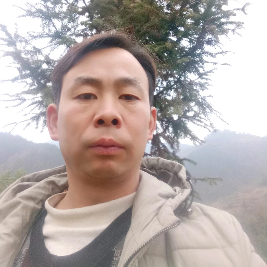 锚杆台车操作手