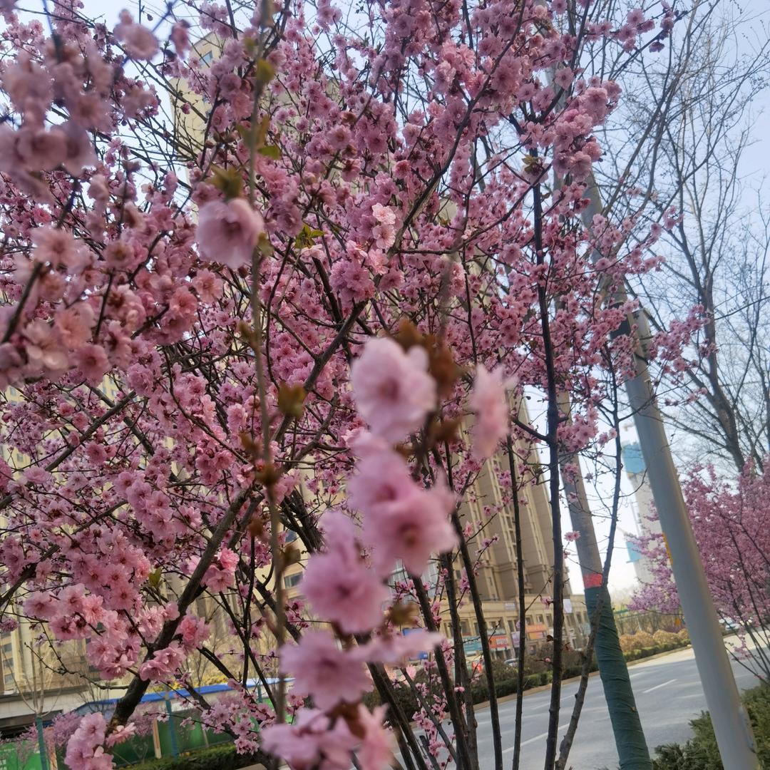 我们