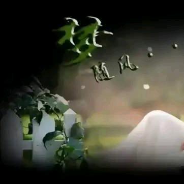 ࿐归ღ᭄零ꦿ࿐