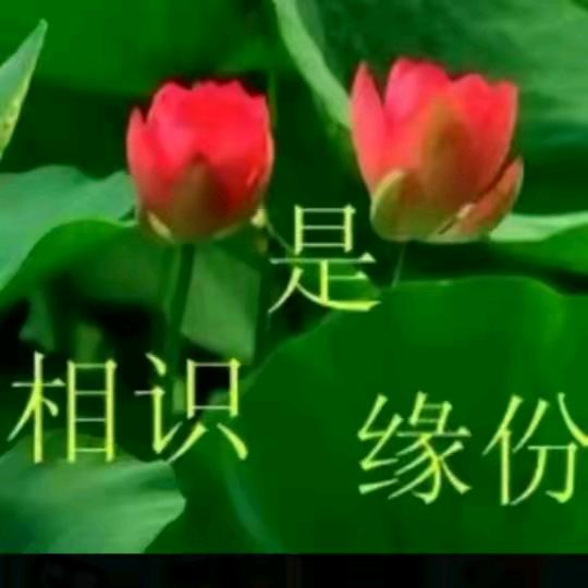 随缘