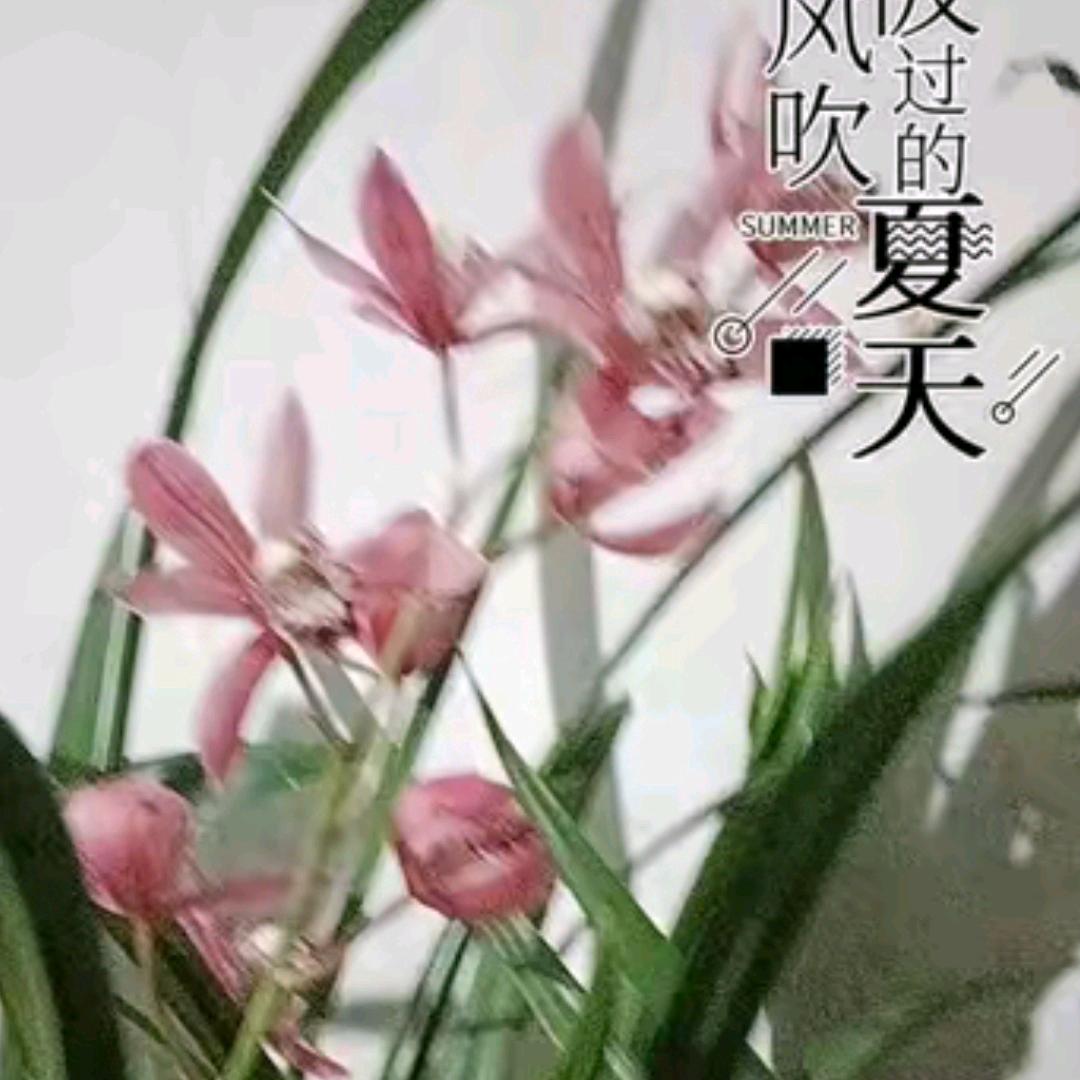 秀秀