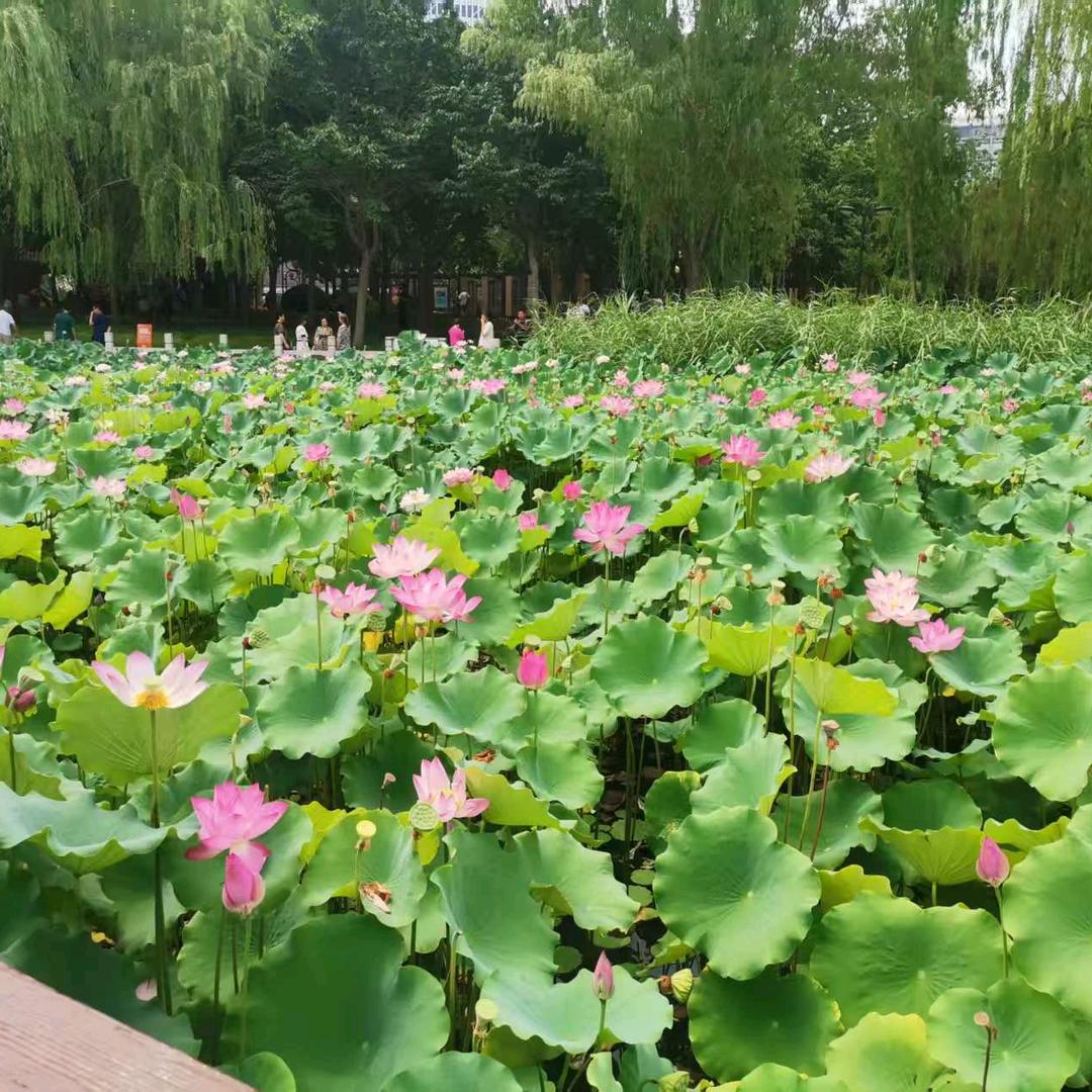 安启航汽车租赁