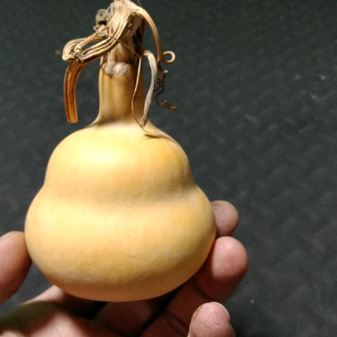 老文文创（葫芦）