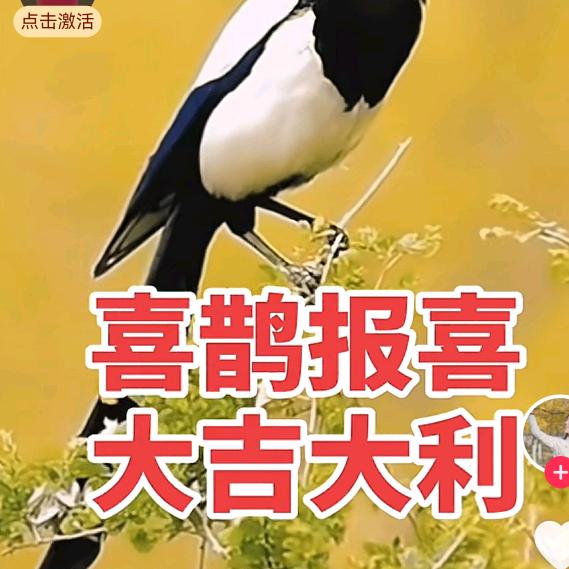 0首付购房一手房二手房