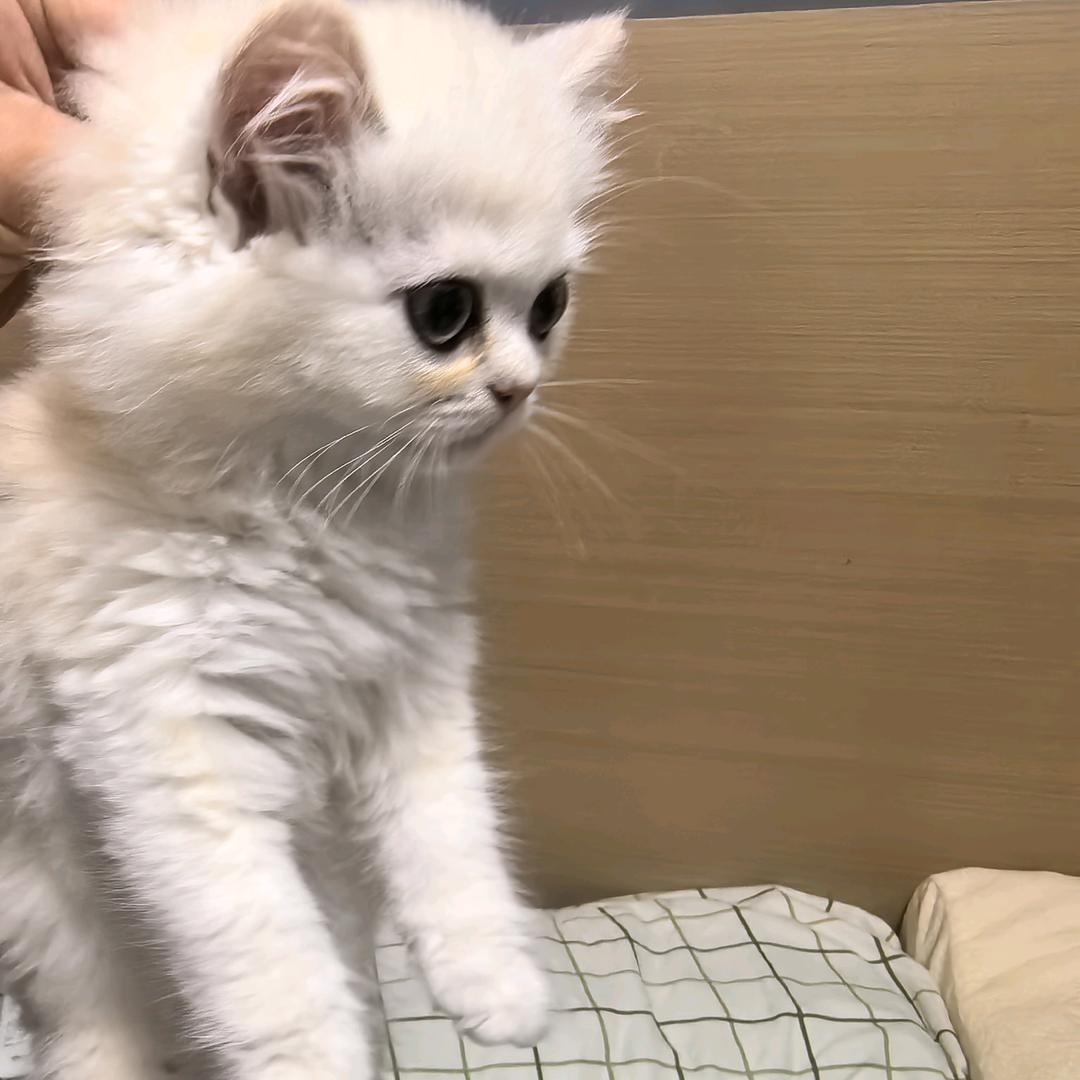 不爱笑