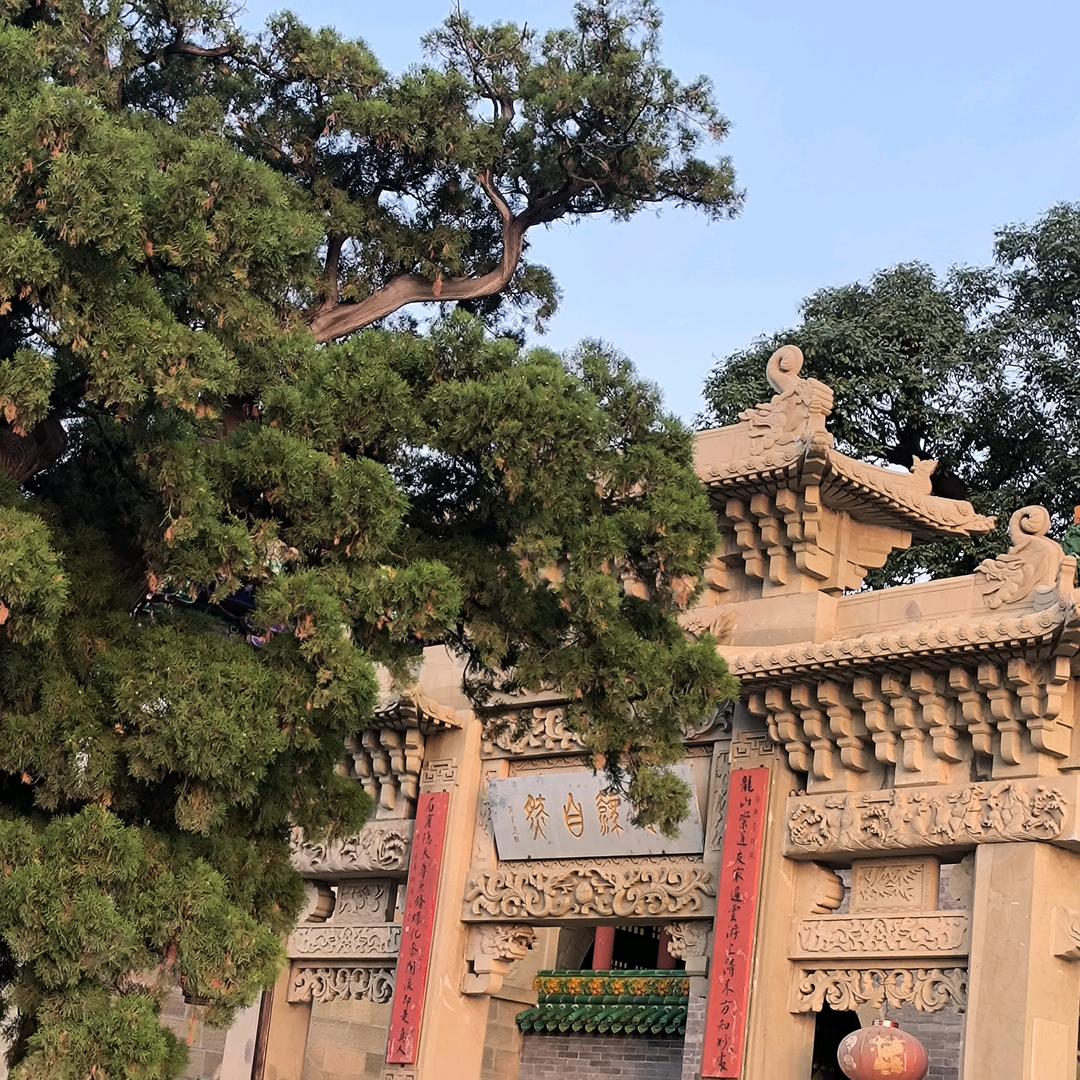 糊涂山客头像