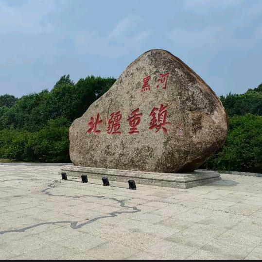 🐷金 猪🐷唯一