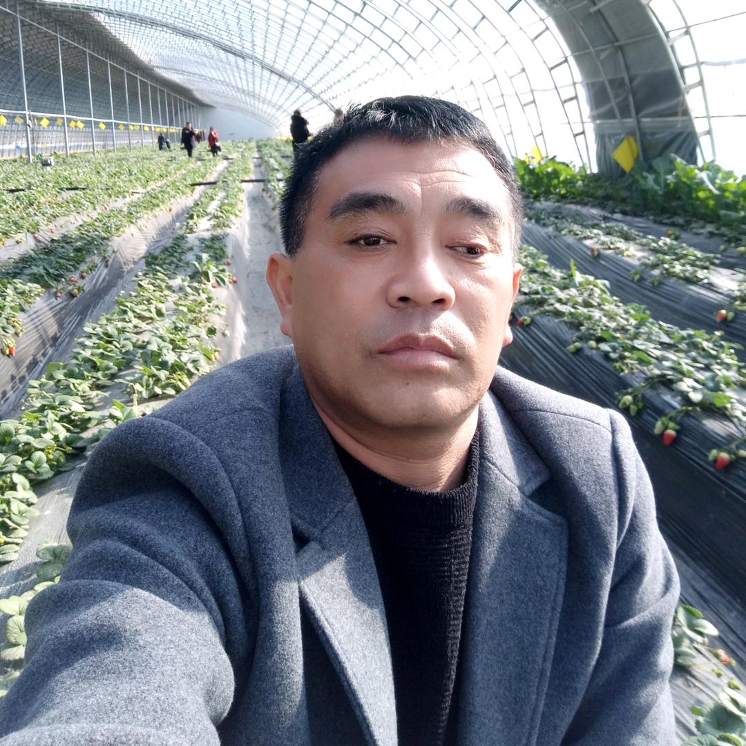 风釆依旧