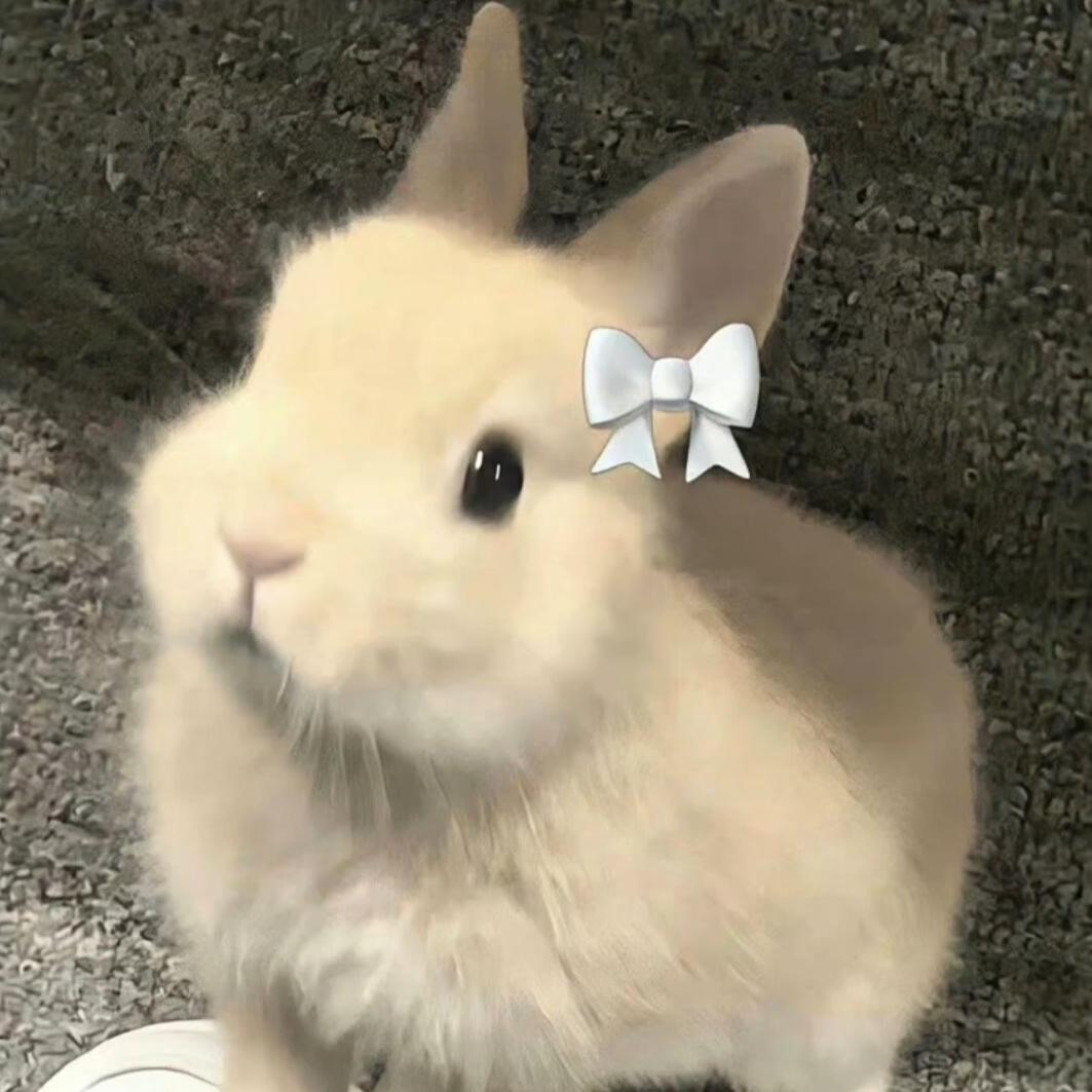 小禧