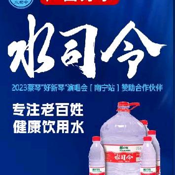 柳城县水司令超市