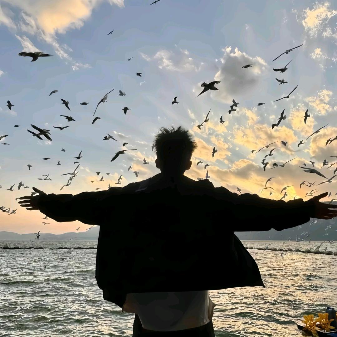 金铲铲（柳絮）