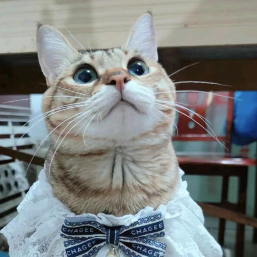 一汽大众-滨达合众（粉姨）