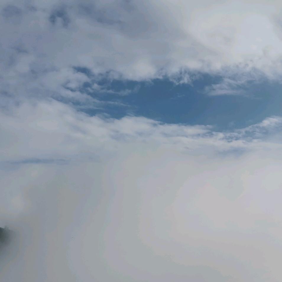 風