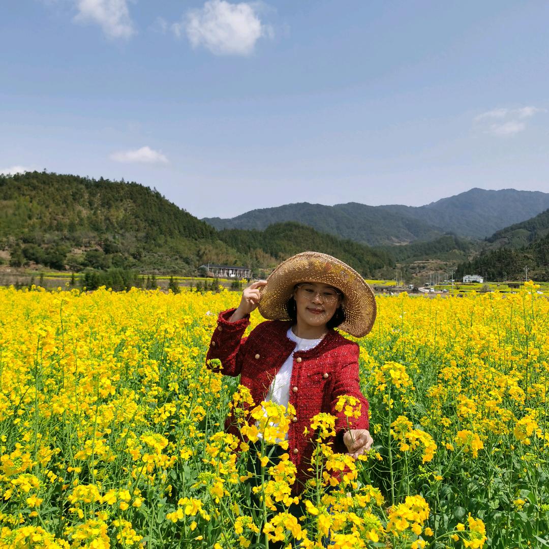 好运莲莲