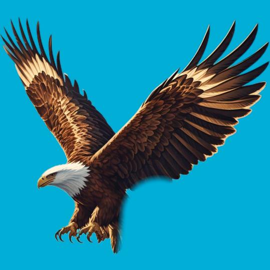 昭通A2🦅飛鹰