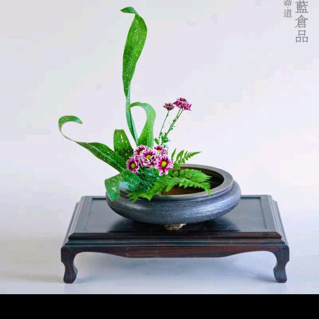 务农在家