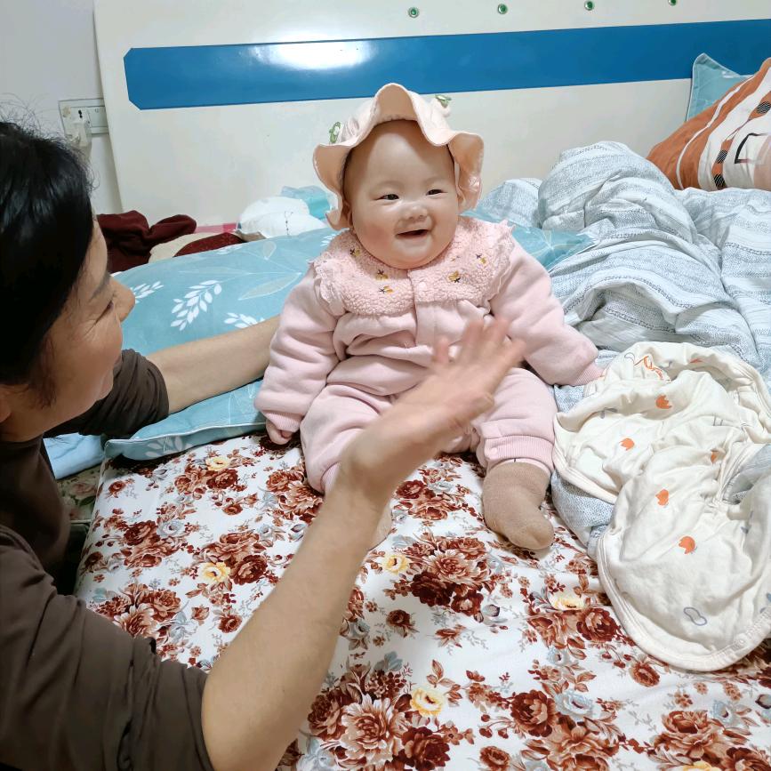 杉树