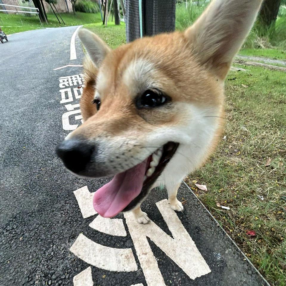ccki