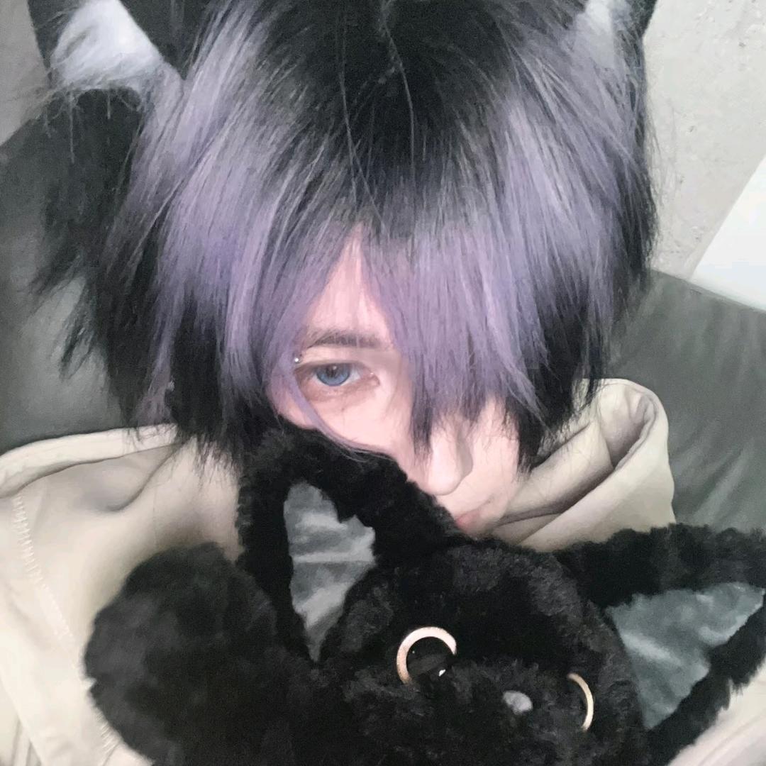 小猫大王