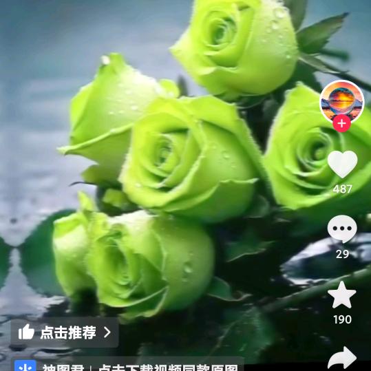 浅笑🌿🍒不语❤️