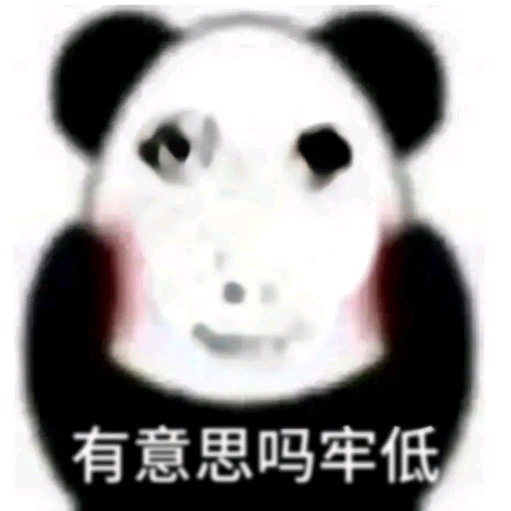4646