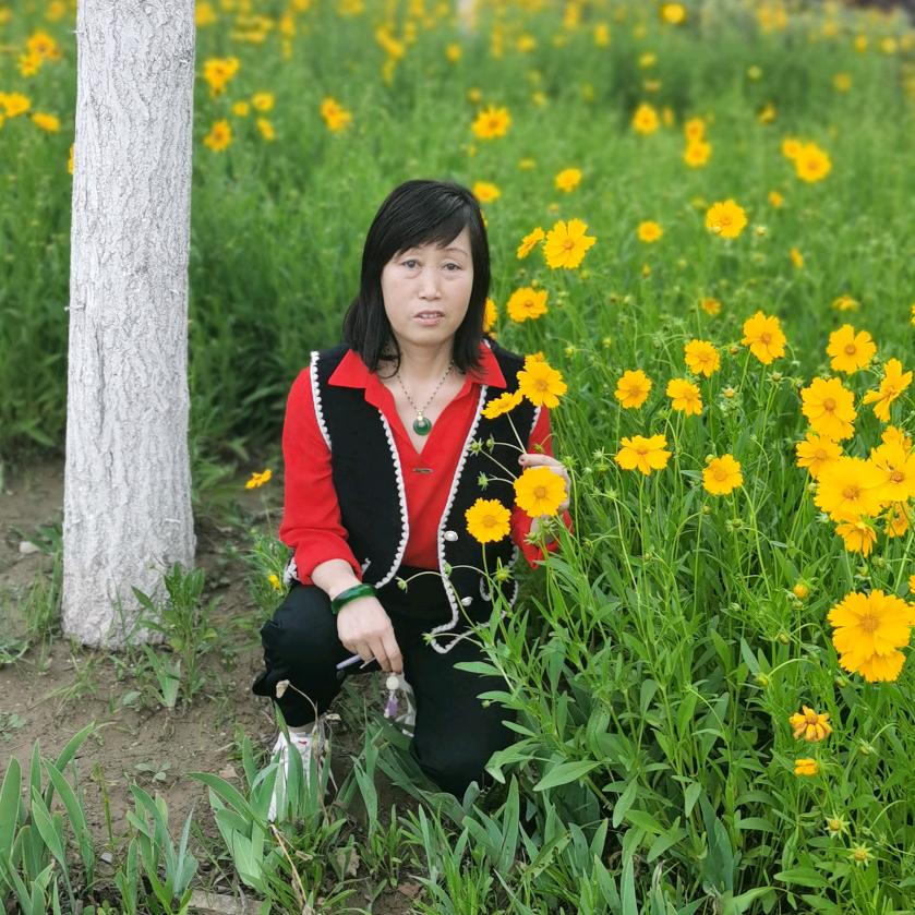 人生不过如此