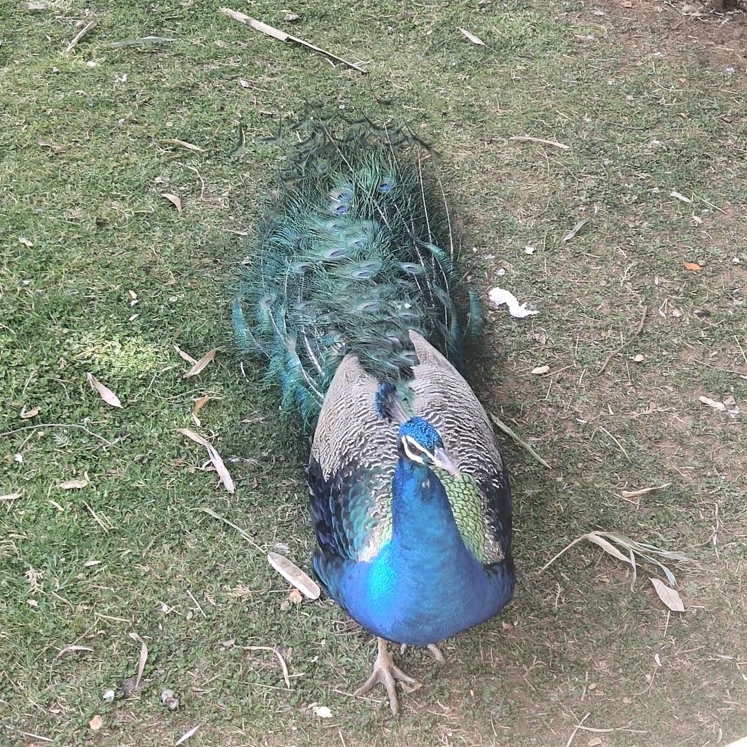 缘份天空