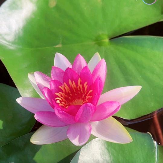 ꧔ꦿ᭄💞：一陆平安ღ᭄