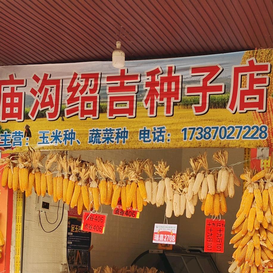 庙沟农资种子化肥