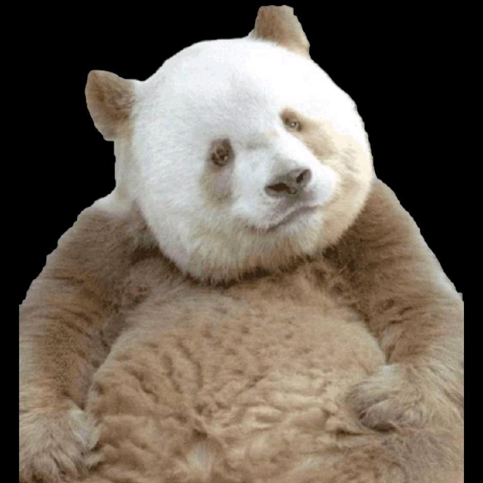 在昆明澄江抚仙湖