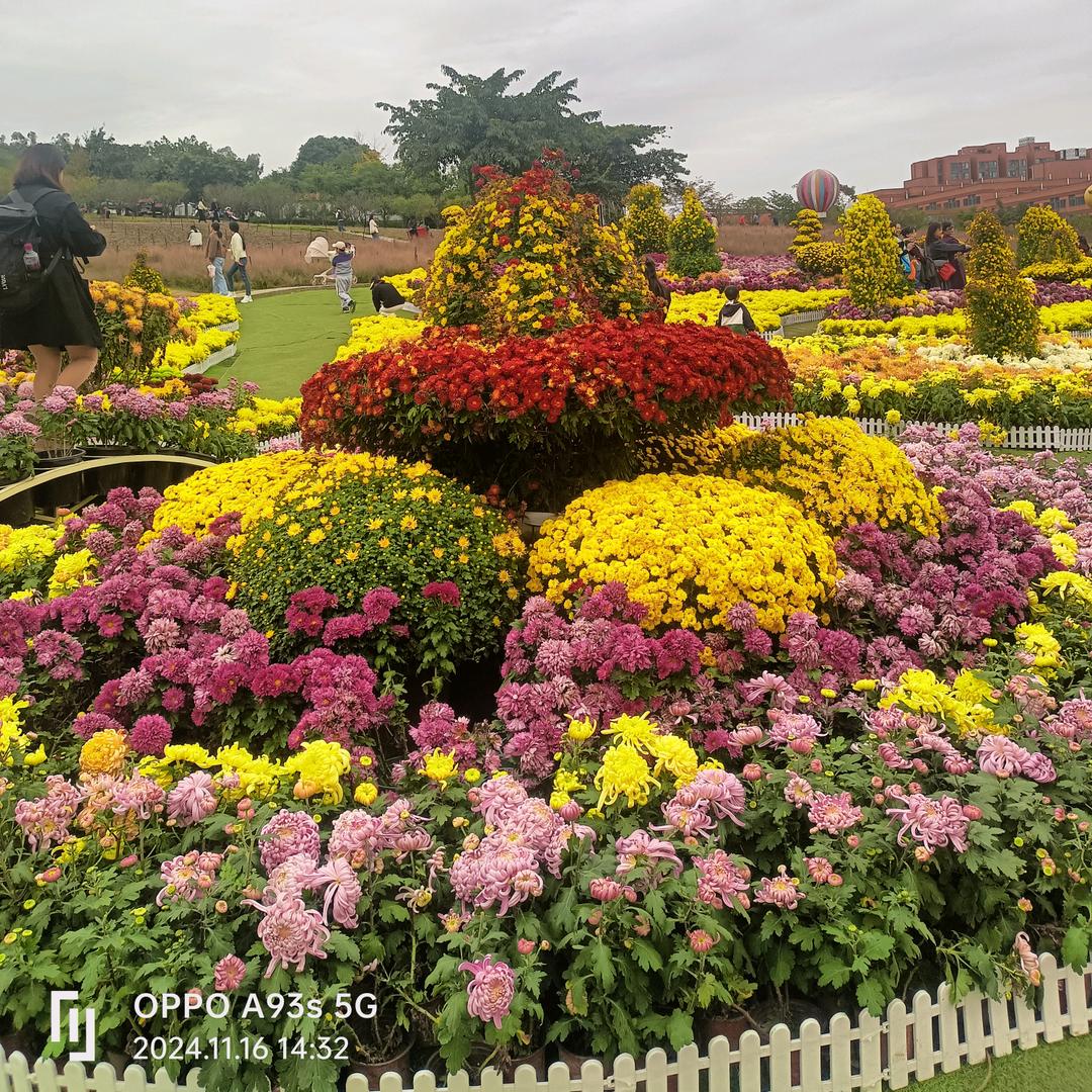 🐖一切随缘（71年）