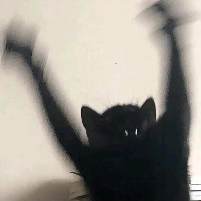 万圣