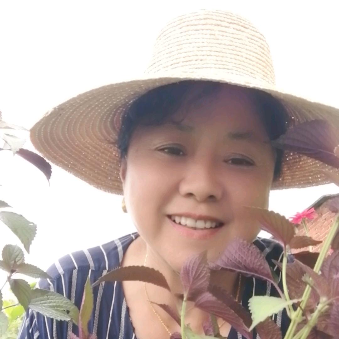 老来乐