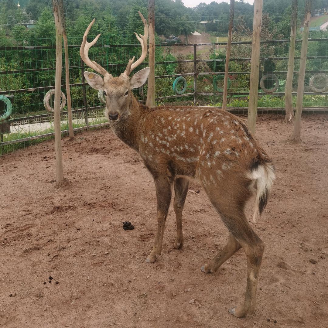 ༄༊࿆石墨生花ོྂཾ࿆࿐