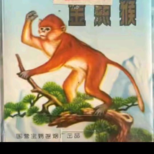 打工人