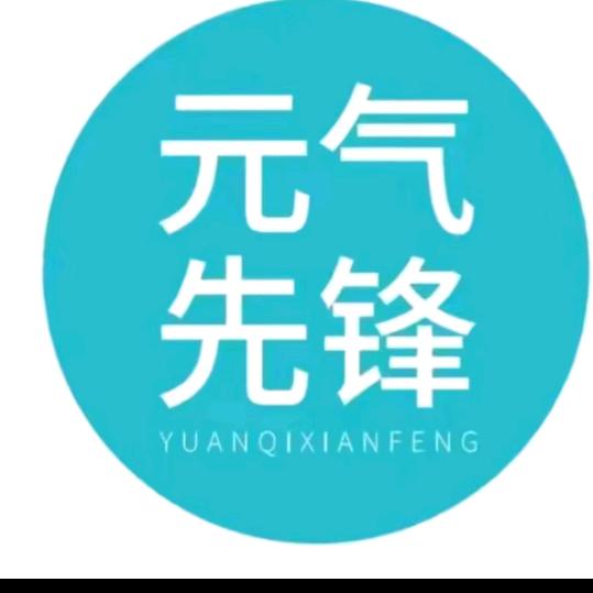 元气先锋，全国招商