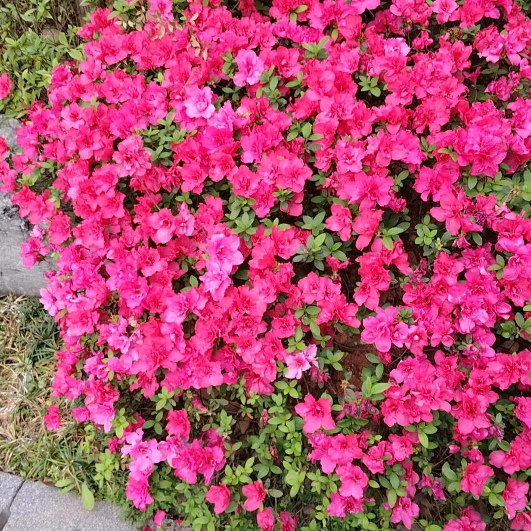 家征保洁～周